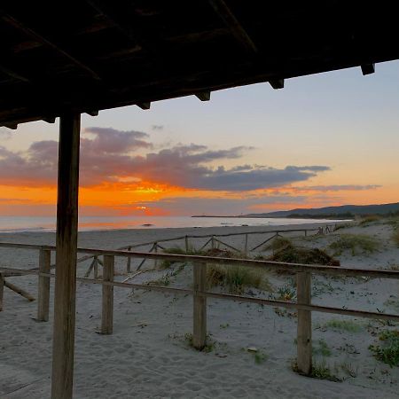 فندق Camping San Teodoro La Cinta المظهر الخارجي الصورة