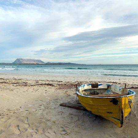 فندق Camping San Teodoro La Cinta المظهر الخارجي الصورة