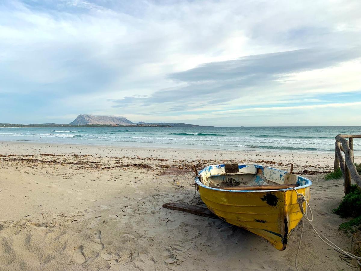 فندق Camping San Teodoro La Cinta المظهر الخارجي الصورة